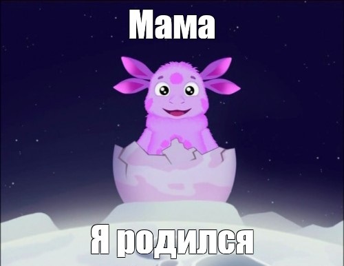 1767804906716.jpeg