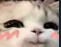 1769551810052.png