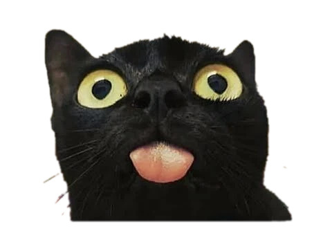 editing_result_716719cdb1d611f1bb47e21c62c85c43_1.png