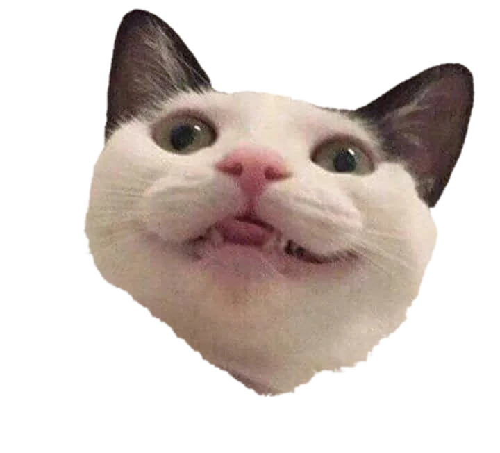 editing_result_e2e547b7b2da11f18c3da69ee4cb7e7d_1.png