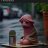 straponi